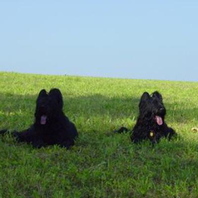 Yazoo Ferri020803 28