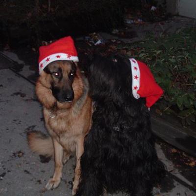 2005weihnacht 2