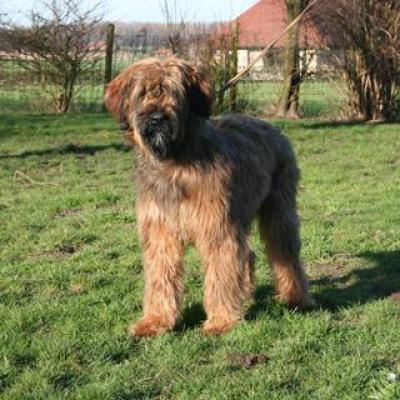 Chica 20070215 11