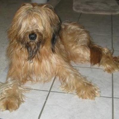 Kita At 2 Years 2 Months