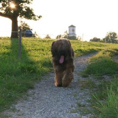 Courage 20070714 36