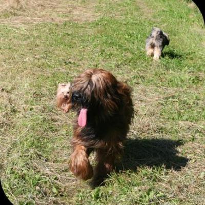 Courage Gizmo 20070714 01