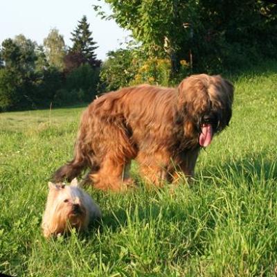 Courage Gizmo 20070714 03