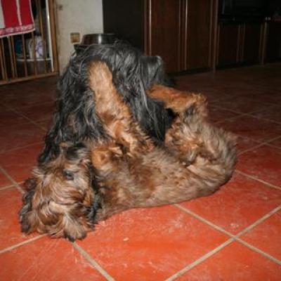 Courage Ohlala003