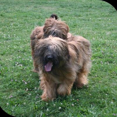 Courage Kiara046
