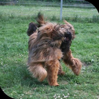 Courage Kiara049