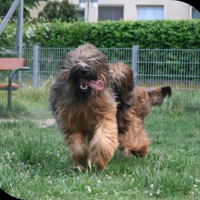 Courage Kiara063