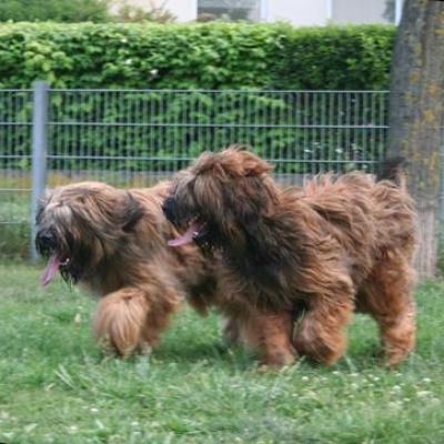 Courage Kiara068