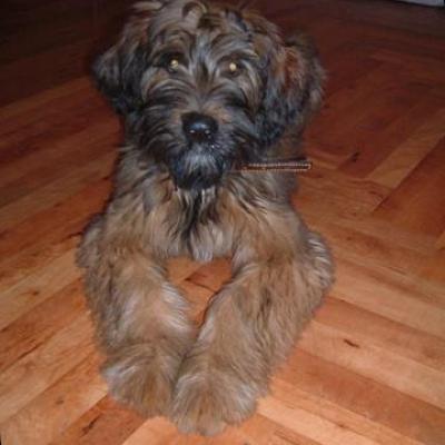 Kiara 20061126 02