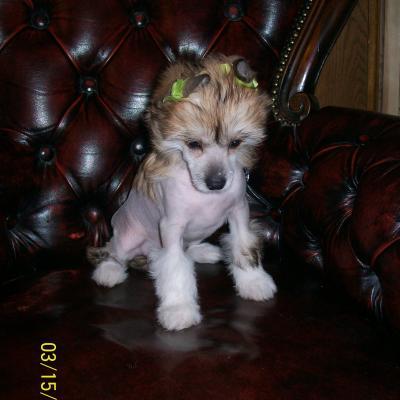 01 Latoya 20090315 08