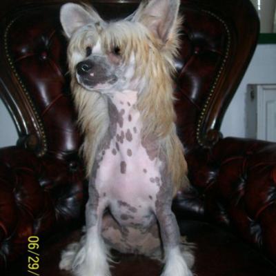 07 Latoya 20090629 01