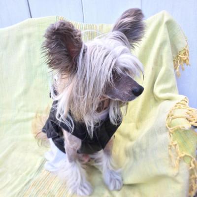 20160110 Leeroy01