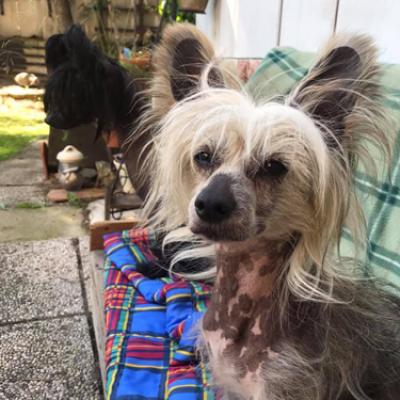 20190606 Leeroy
