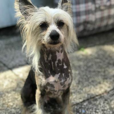 20190628 Leeroy01