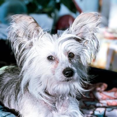 20210110 04 Leeroy
