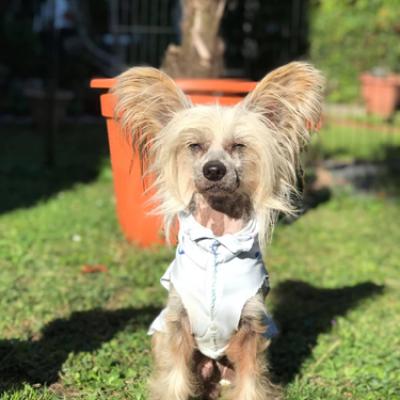 20210923 Leeroy02