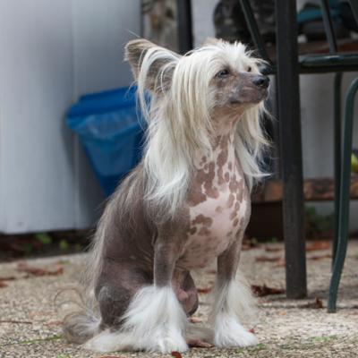 Leeroy 20150926 05