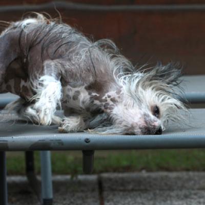 Leeroy June2011 02
