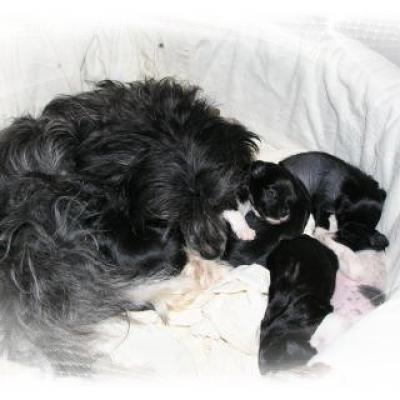 14 Woche 3 Week 3