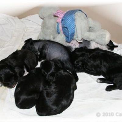 21 Woche 4 Week 4