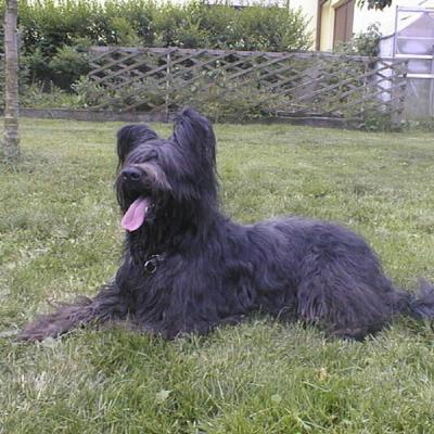 Batida172