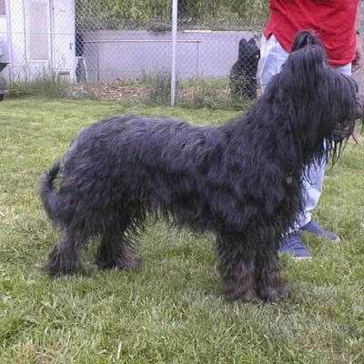 Batida175