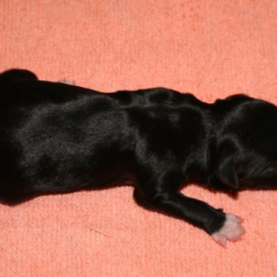6h 001