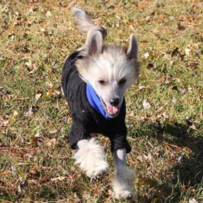 Tanner 20111008 01