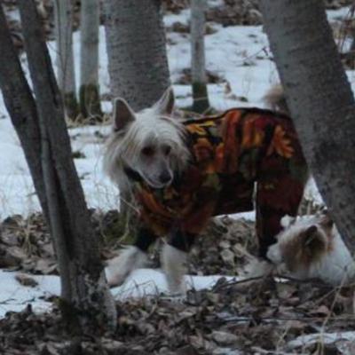 Tanner 20120107 02