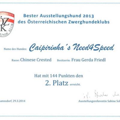 023 Best Show Dog Club 2013