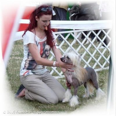 024 Cacib Velence 20 June 2015 Cac Cacib Bob