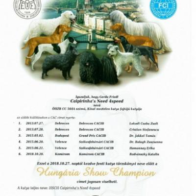 Maverick Urk Hushowchamp