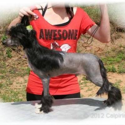 01 One Ofhis Own Aka Gatsby 15 Jun 2012
