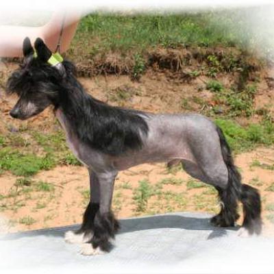 04 One Ofhis Own Aka Gatsby 15 Jun 2012