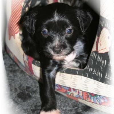 05 Hl Ruede 1 Hl Male 1