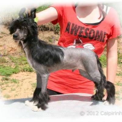 05 One Ofhis Own Aka Gatsby 15 Jun 2012