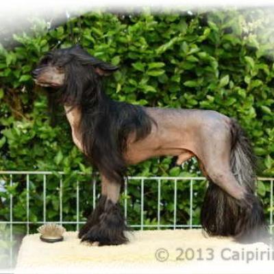 19 One Ofhis Own Aka Gatsby 3 July 2013