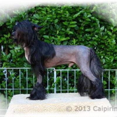 27 One Ofhis Own Aka Gatsby 3 July 2013