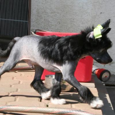 3 Hl Ruede69