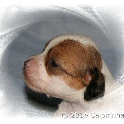 03 55 June 2014 Huendin Girl
