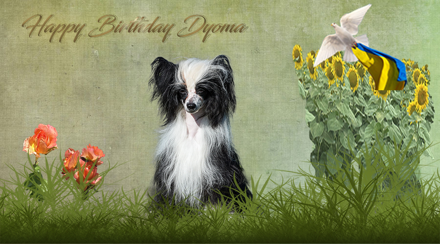5. Geburtstag Dyoma 5. Geburtstag Dyoma
