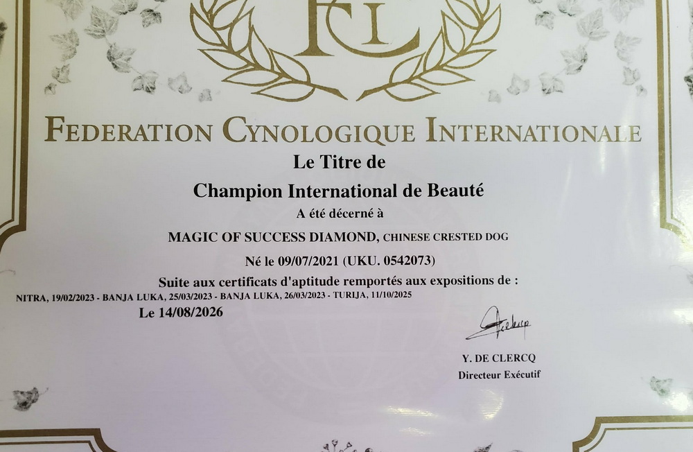 Dyoma Internationaler Schönheits-Champion FCI Dyoma Internationaler Schönheits-Champion FCI